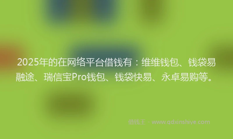 2025年的在网络平台借钱有：维维钱包、钱袋易融途、瑞信宝Pro钱包、钱袋快易、永卓易购等。