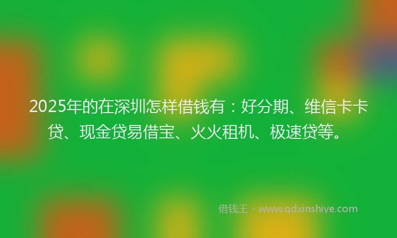 2025年的在深圳怎样借钱有：好分期、维信卡卡贷、现金贷易借宝、火火租机、极速贷等。