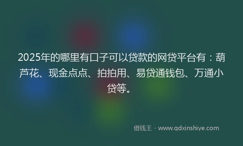 2025年的哪里有口子可以贷款的网贷平台有：葫芦花、现金点点、拍拍用、易贷通钱包、万通小贷等。