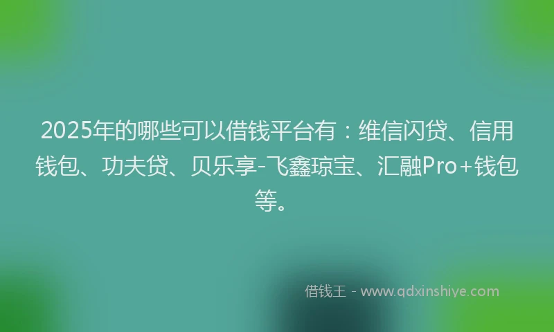 2025年的哪些可以借钱平台有：维信闪贷、信用钱包、功夫贷、贝乐享-飞鑫琼宝、汇融Pro+钱包等。