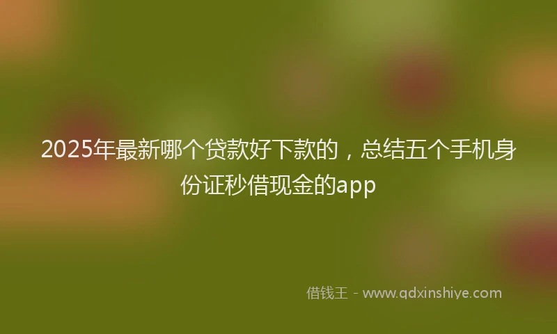 2025年最新哪个贷款好下款的，总结五个手机身份证秒借现金的app
