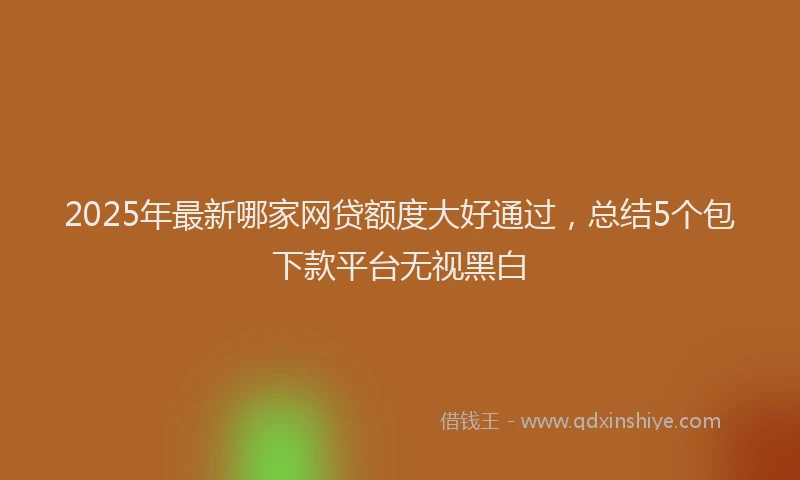 2025年最新哪家网贷额度大好通过，总结5个包下款平台无视黑白