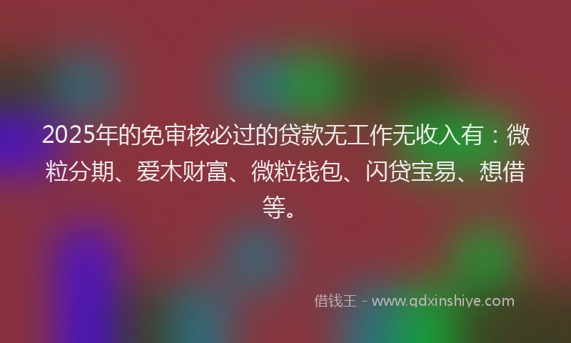 2025年的免审核必过的贷款无工作无收入有：微粒分期、爱木财富、微粒钱包、闪贷宝易、想借等。