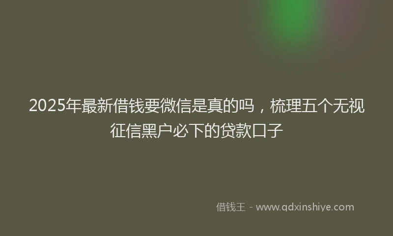 2025年最新借钱要微信是真的吗，梳理五个无视征信黑户必下的贷款口子