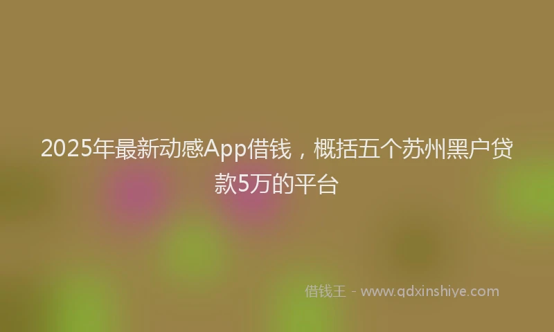 2025年最新动感App借钱，概括五个苏州黑户贷款5万的平台