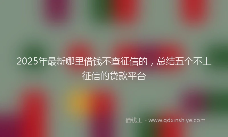 2025年最新哪里借钱不查征信的，总结五个不上征信的贷款平台