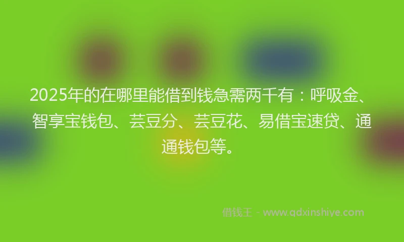 2025年的在哪里能借到钱急需两千有：呼吸金、智享宝钱包、芸豆分、芸豆花、易借宝速贷、通通钱包等。