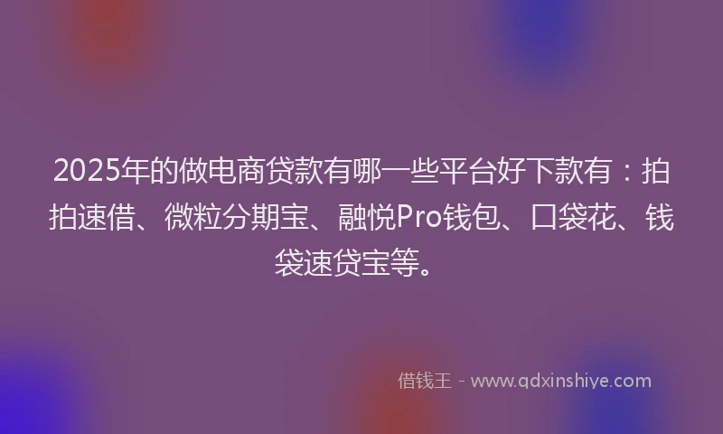 2025年的做电商贷款有哪一些平台好下款有：拍拍速借、微粒分期宝、融悦Pro钱包、口袋花、钱袋速贷宝等。
