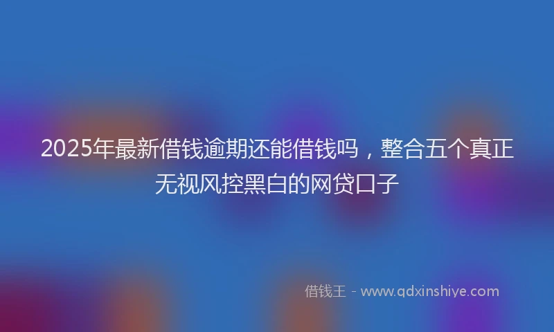2025年最新借钱逾期还能借钱吗，整合五个真正无视风控黑白的网贷口子