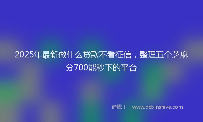 2025年最新做什么贷款不看征信，整理五个芝麻分700能秒下的平台