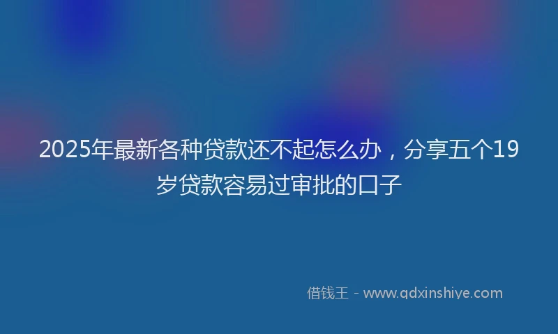 2025年最新各种贷款还不起怎么办，分享五个19岁贷款容易过审批的口子
