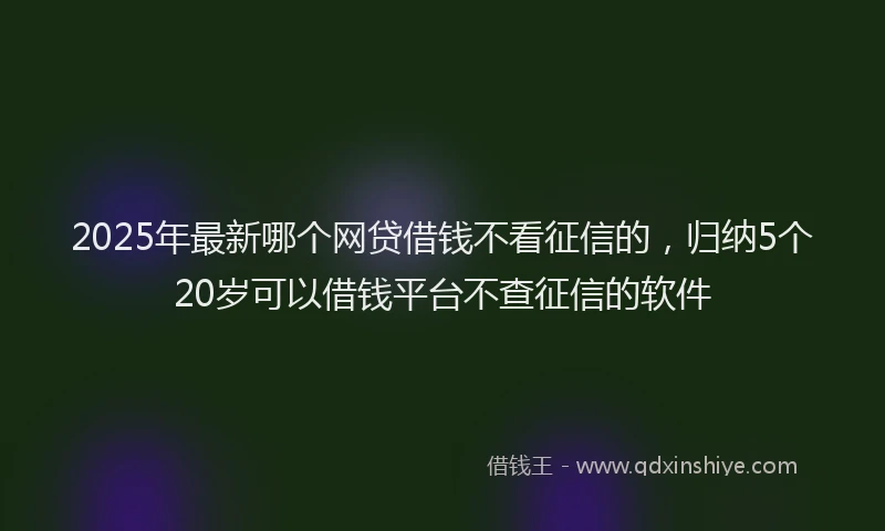 2025年最新哪个网贷借钱不看征信的，归纳5个20岁可以借钱平台不查征信的软件