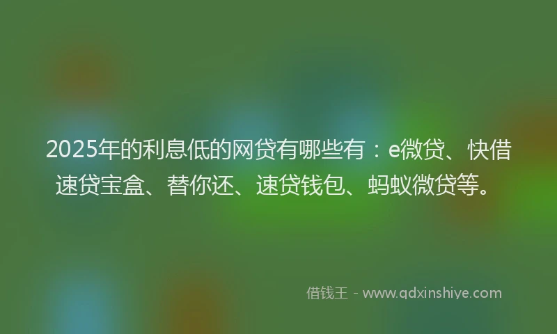 2025年的利息低的网贷有哪些有：e微贷、快借速贷宝盒、替你还、速贷钱包、蚂蚁微贷等。
