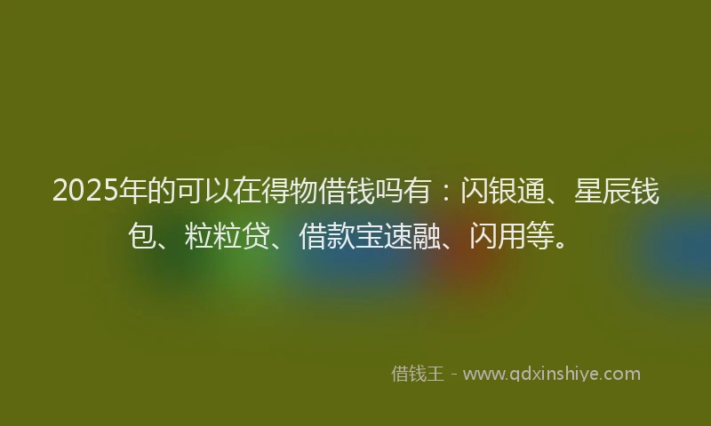 2025年的可以在得物借钱吗有：闪银通、星辰钱包、粒粒贷、借款宝速融、闪用等。