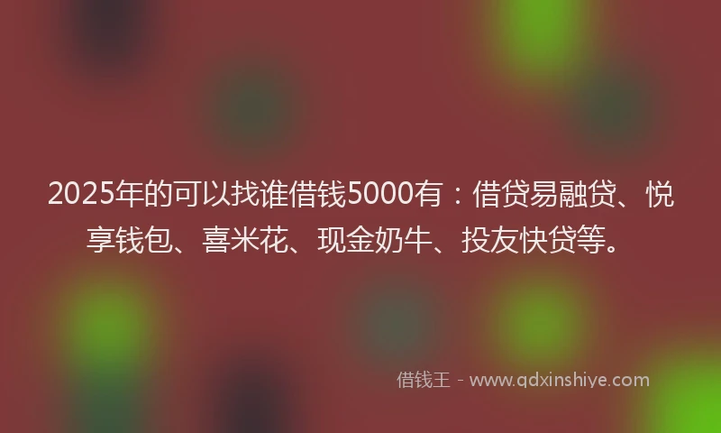 2025年的可以找谁借钱5000有：借贷易融贷、悦享钱包、喜米花、现金奶牛、投友快贷等。