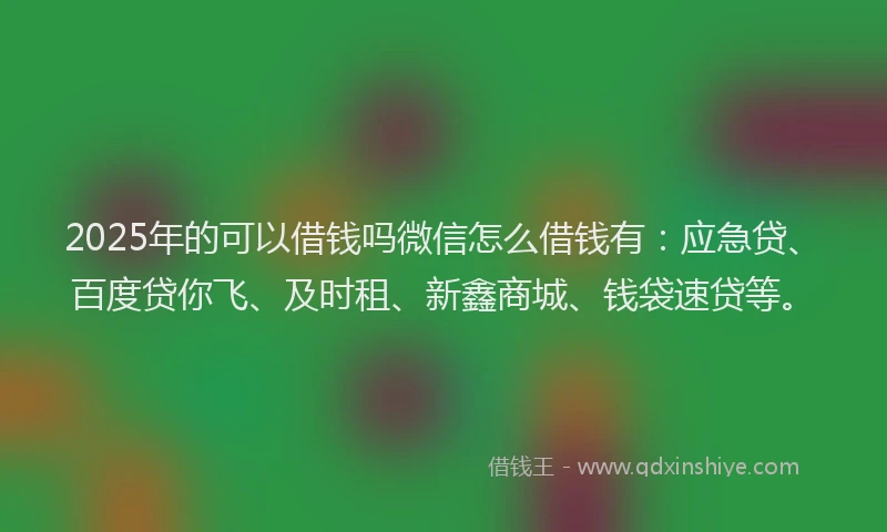 2025年的可以借钱吗微信怎么借钱有：应急贷、百度贷你飞、及时租、新鑫商城、钱袋速贷等。