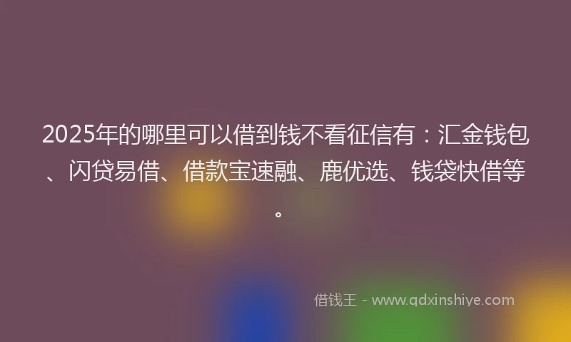 2025年的哪里可以借到钱不看征信有：汇金钱包、闪贷易借、借款宝速融、鹿优选、钱袋快借等。