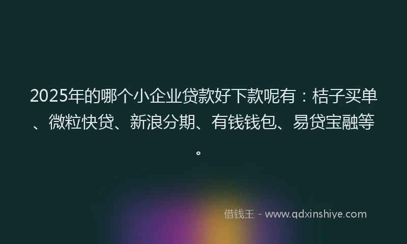 2025年的哪个小企业贷款好下款呢有：桔子买单、微粒快贷、新浪分期、有钱钱包、易贷宝融等。