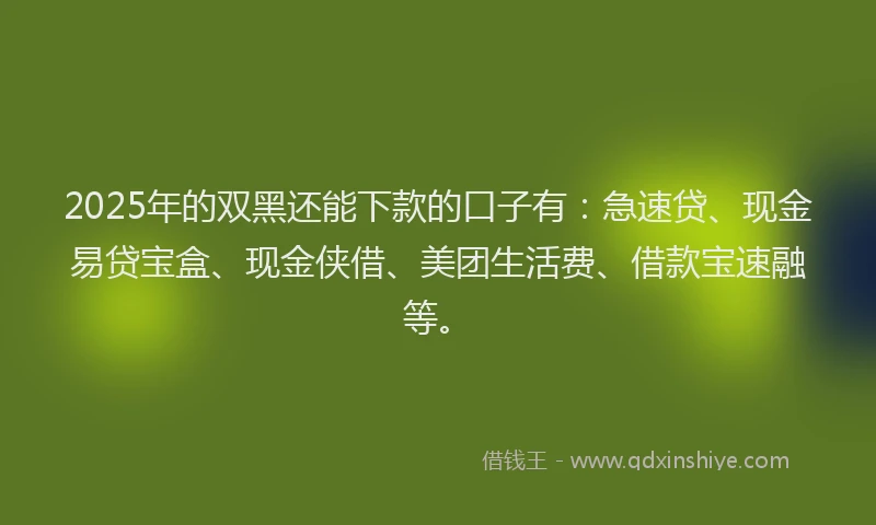 2025年的双黑还能下款的口子有：急速贷、现金易贷宝盒、现金侠借、美团生活费、借款宝速融等。