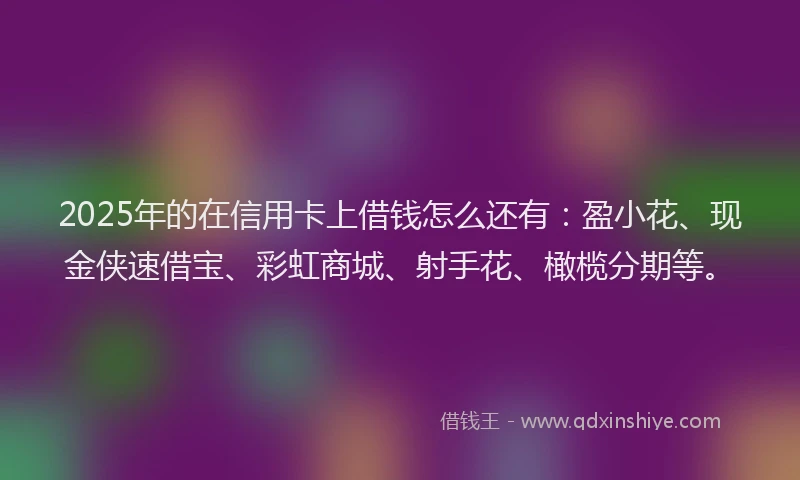 2025年的在信用卡上借钱怎么还有：盈小花、现金侠速借宝、彩虹商城、射手花、橄榄分期等。