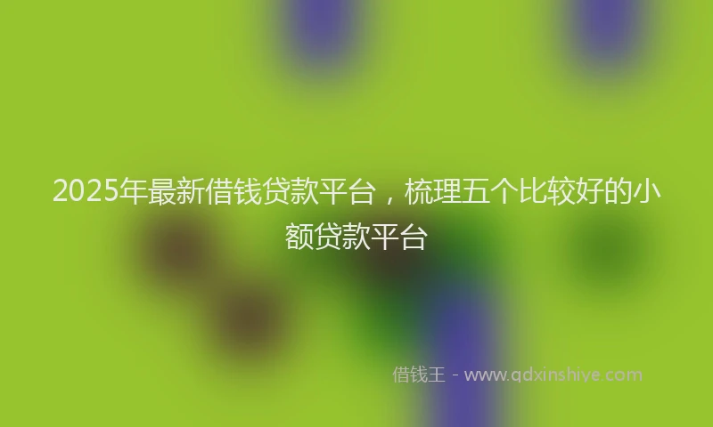2025年最新借钱贷款平台，梳理五个比较好的小额贷款平台