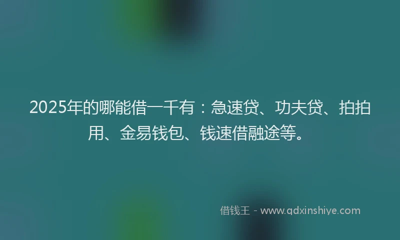 2025年的哪能借一千有：急速贷、功夫贷、拍拍用、金易钱包、钱速借融途等。