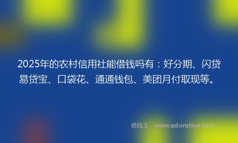 2025年的农村信用社能借钱吗有：好分期、闪贷易贷宝、口袋花、通通钱包、美团月付取现等。