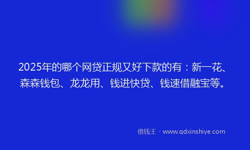 2025年的哪个网贷正规又好下款的有：新一花、森森钱包、龙龙用、钱进快贷、钱速借融宝等。