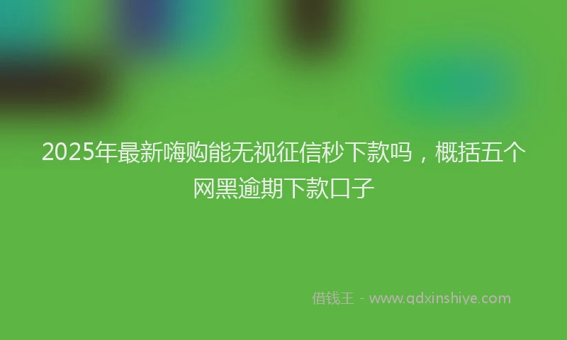 2025年最新嗨购能无视征信秒下款吗，概括五个网黑逾期下款口子