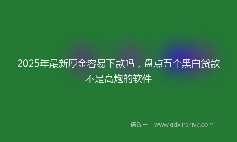 2025年最新厚金容易下款吗，盘点五个黑白贷款不是高炮的软件