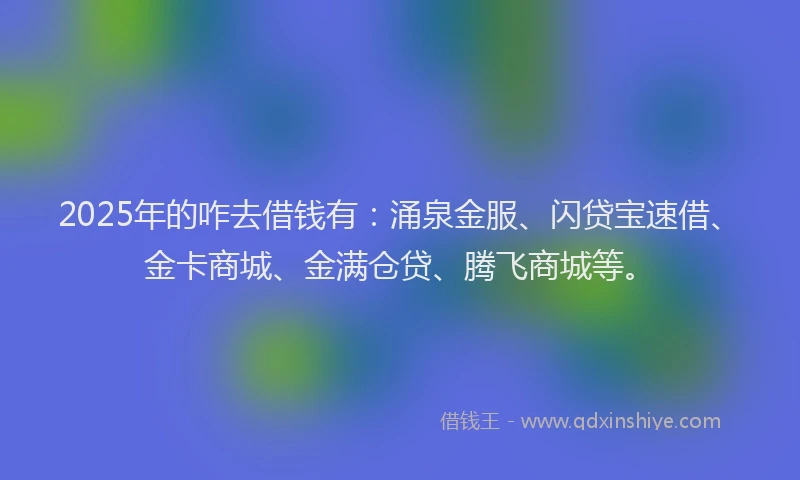 2025年的咋去借钱有：涌泉金服、闪贷宝速借、金卡商城、金满仓贷、腾飞商城等。