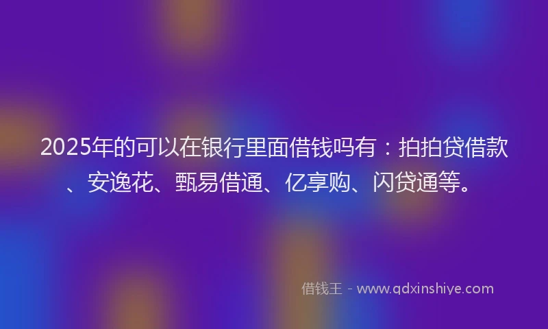 2025年的可以在银行里面借钱吗有：拍拍贷借款、安逸花、甄易借通、亿享购、闪贷通等。
