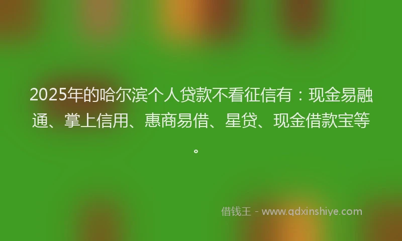 2025年的哈尔滨个人贷款不看征信有：现金易融通、掌上信用、惠商易借、星贷、现金借款宝等。