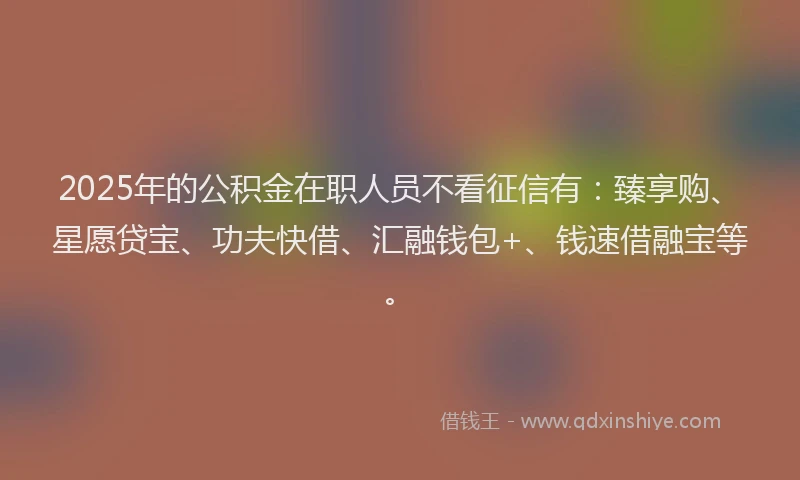 2025年的公积金在职人员不看征信有：臻享购、星愿贷宝、功夫快借、汇融钱包+、钱速借融宝等。