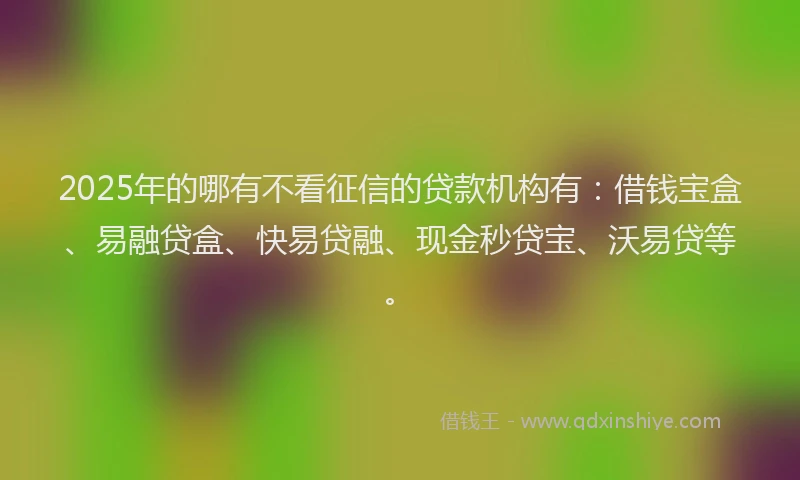 2025年的哪有不看征信的贷款机构有：借钱宝盒、易融贷盒、快易贷融、现金秒贷宝、沃易贷等。