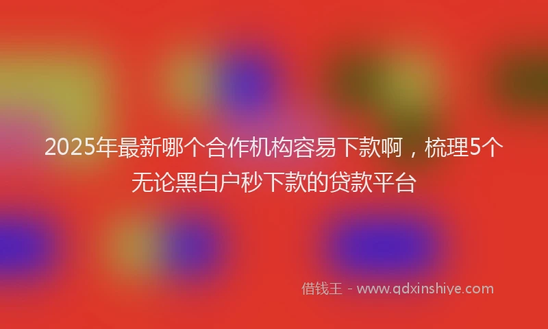 2025年最新哪个合作机构容易下款啊，梳理5个无论黑白户秒下款的贷款平台
