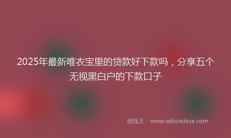 2025年最新唯衣宝里的贷款好下款吗，分享五个无视黑白户的下款口子