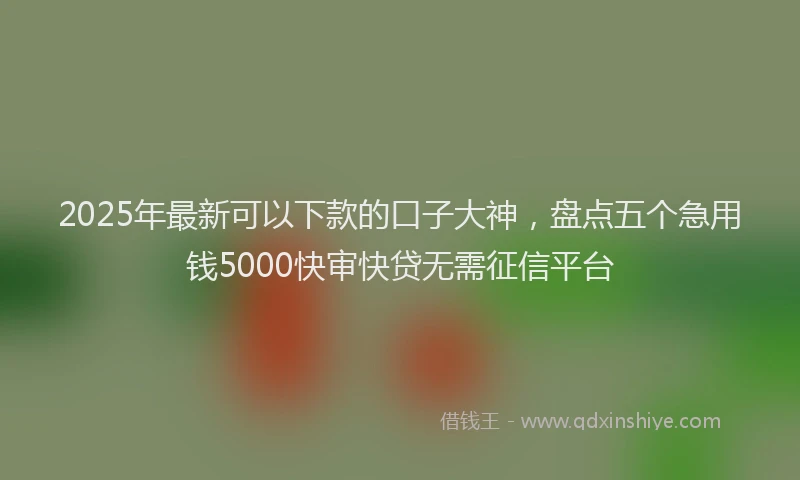 2025年最新可以下款的口子大神，盘点五个急用钱5000快审快贷无需征信平台