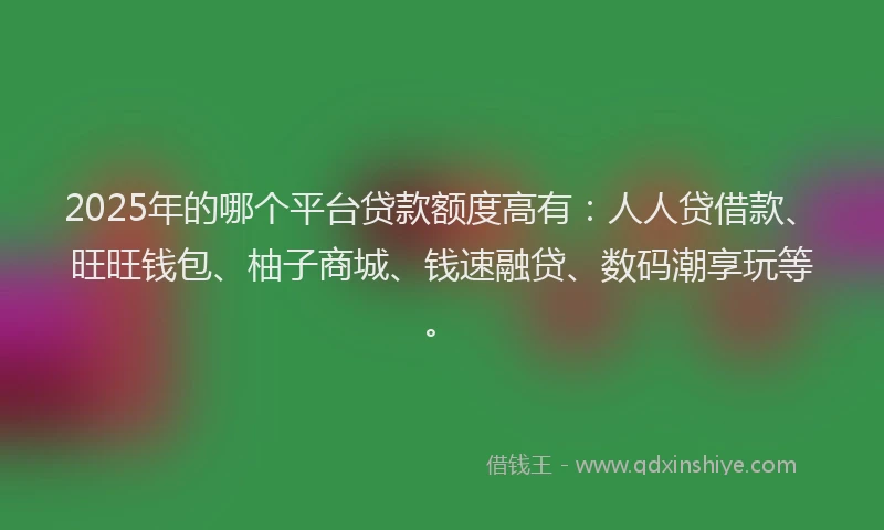 2025年的哪个平台贷款额度高有：人人贷借款、旺旺钱包、柚子商城、钱速融贷、数码潮享玩等。