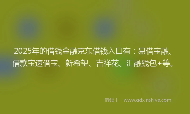 2025年的借钱金融京东借钱入口有：易借宝融、借款宝速借宝、新希望、吉祥花、汇融钱包+等。