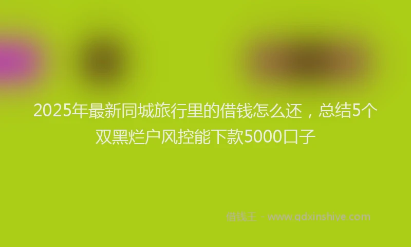2025年最新同城旅行里的借钱怎么还，总结5个双黑烂户风控能下款5000口子