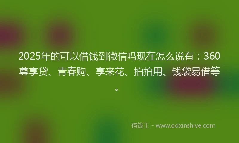 2025年的可以借钱到微信吗现在怎么说有：360尊享贷、青春购、享来花、拍拍用、钱袋易借等。