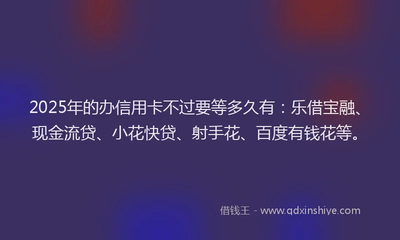 2025年的办信用卡不过要等多久有：乐借宝融、现金流贷、小花快贷、射手花、百度有钱花等。