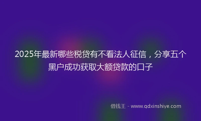 2025年最新哪些税贷有不看法人征信，分享五个黑户成功获取大额贷款的口子