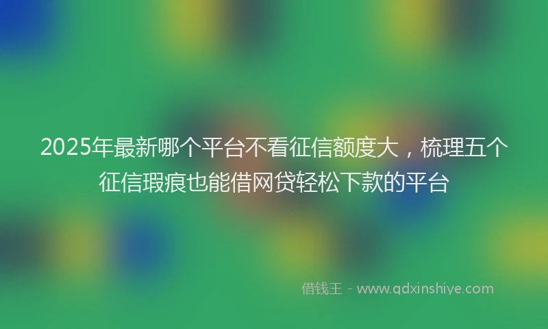 2025年最新哪个平台不看征信额度大，梳理五个征信瑕疵也能借网贷轻松下款的平台