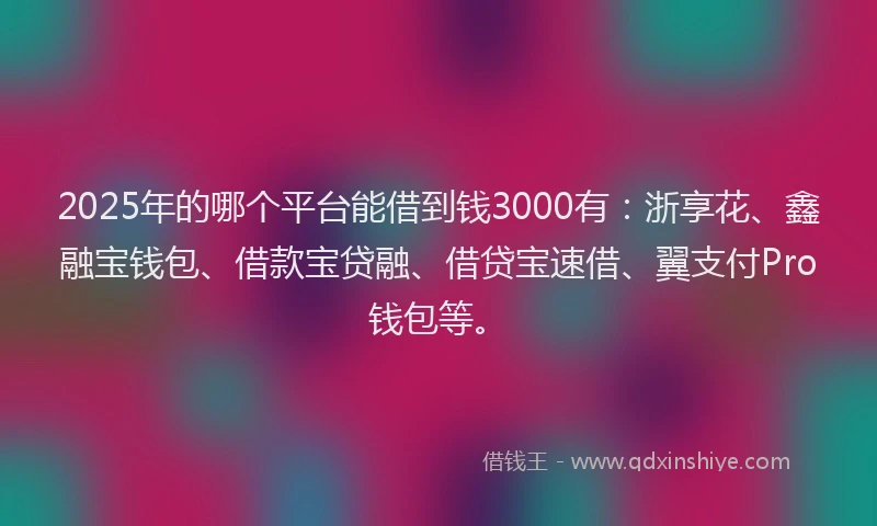 2025年的哪个平台能借到钱3000有：浙享花、鑫融宝钱包、借款宝贷融、借贷宝速借、翼支付Pro钱包等。