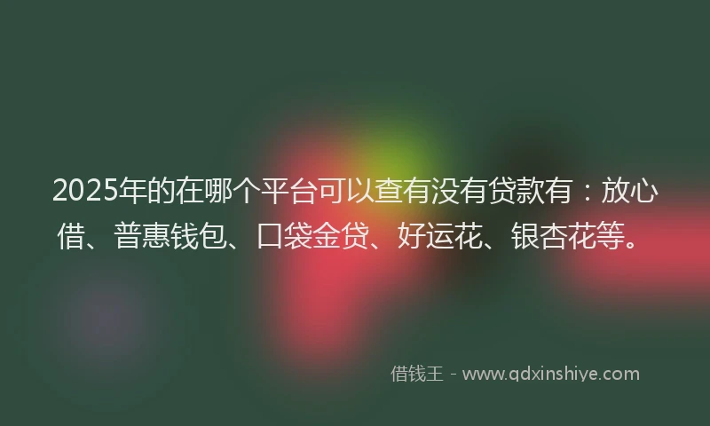 2025年的在哪个平台可以查有没有贷款有：放心借、普惠钱包、口袋金贷、好运花、银杏花等。