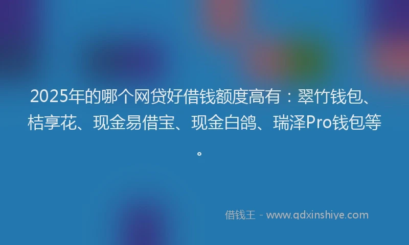 2025年的哪个网贷好借钱额度高有：翠竹钱包、桔享花、现金易借宝、现金白鸽、瑞泽Pro钱包等。