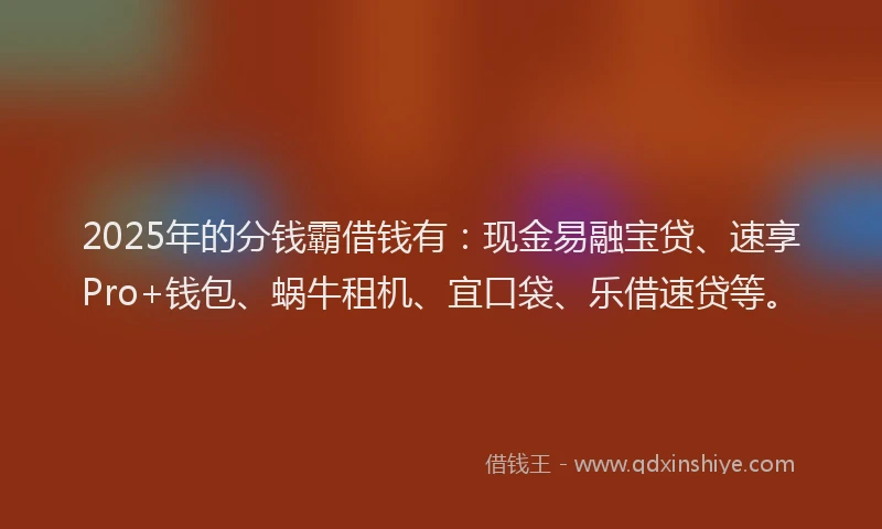 2025年的分钱霸借钱有：现金易融宝贷、速享Pro+钱包、蜗牛租机、宜口袋、乐借速贷等。