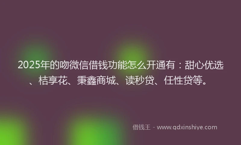 2025年的吻微信借钱功能怎么开通有：甜心优选、桔享花、秉鑫商城、读秒贷、任性贷等。